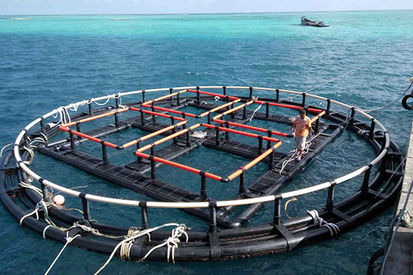 深海奇跡、水下牧場：探索深海養(yǎng)魚網(wǎng)箱在水產(chǎn)養(yǎng)殖中的新可能